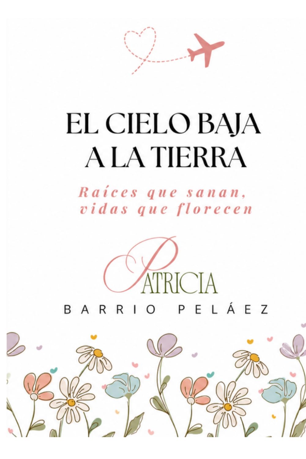 Portada del libro El cielo baja a la tierra, de Patricia Barrio